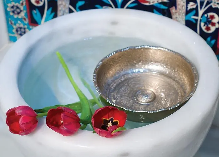 Hotel The Savoy Ottoman Palace 5*